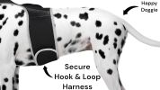 Get Realtime Location Update w/ Pet Tracker GPS Tracking Collars for Dogs Size:S