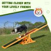 Wooden Dog Agility Seesaw, Training and Exercise Equipment, Weather Resistant, 71" L, Natural