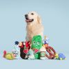 Big Dill Bill Pickle Dog Toy - Green