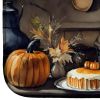 Australian Shepherd Fall Kitchen Pumpkins Dish Drying Mat Absorbent Dish Drying Mat Pad for Kitchen Counter Dish Drainer Mat for Countertop, 14 x 21"